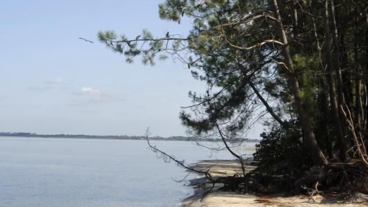 Photo of Others in Vensac