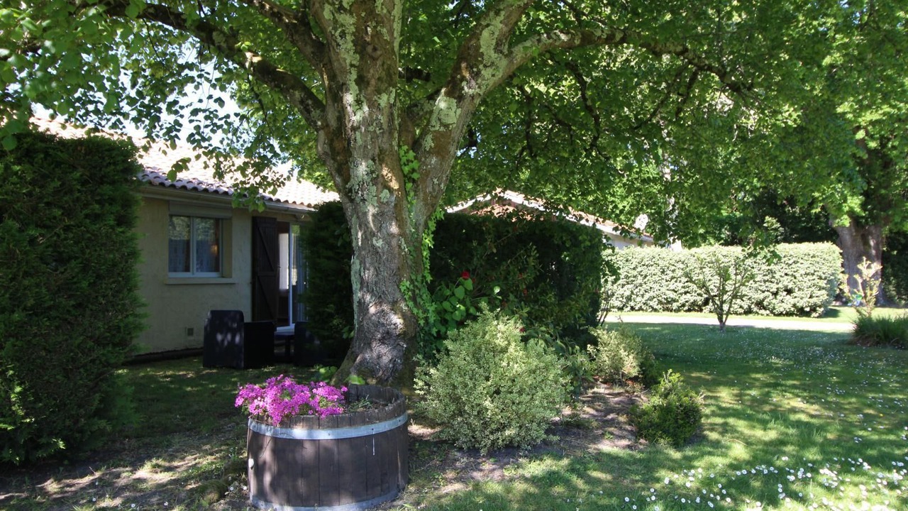 Photo of Outdoor in Vensac