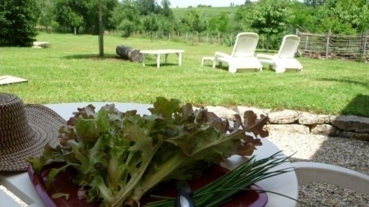 Photo of Outdoor in Ruch