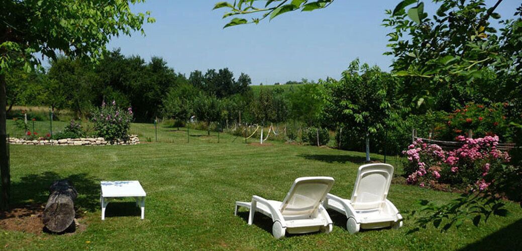 Photo of Outdoor in Ruch