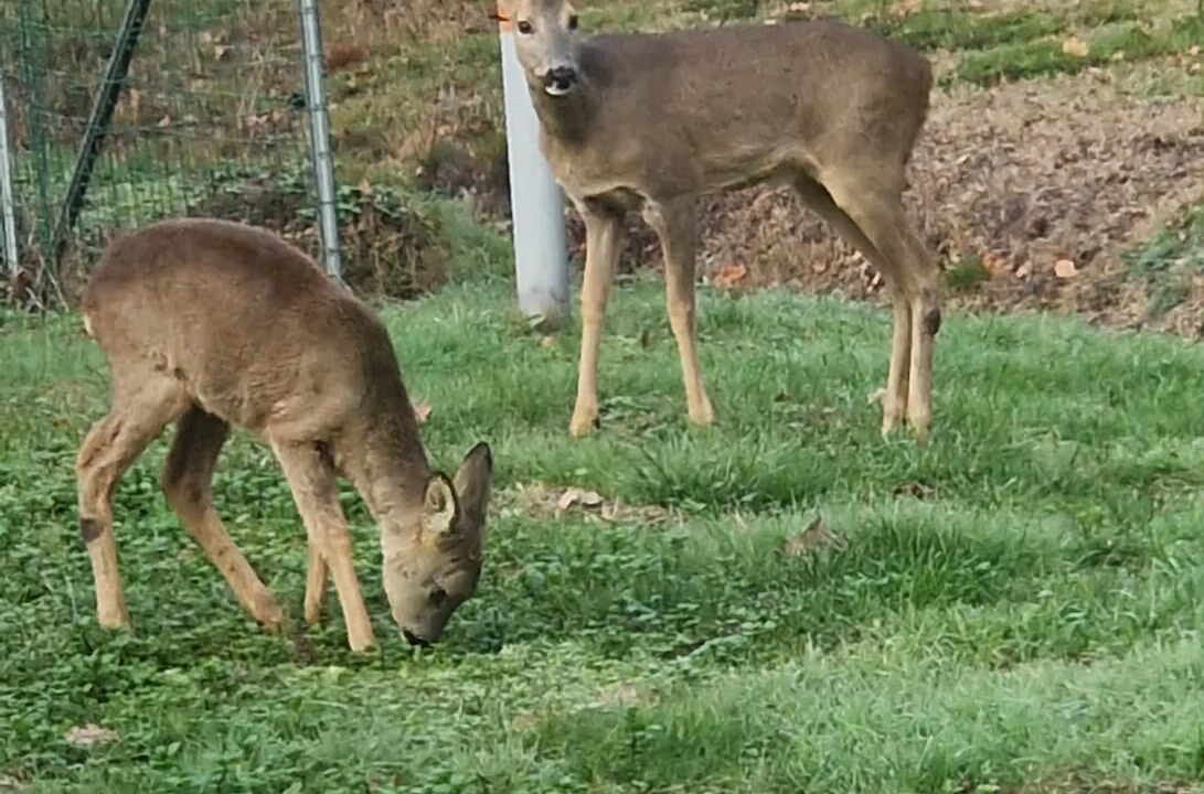 Photo of Outdoor in Gaillan-en-Medoc
