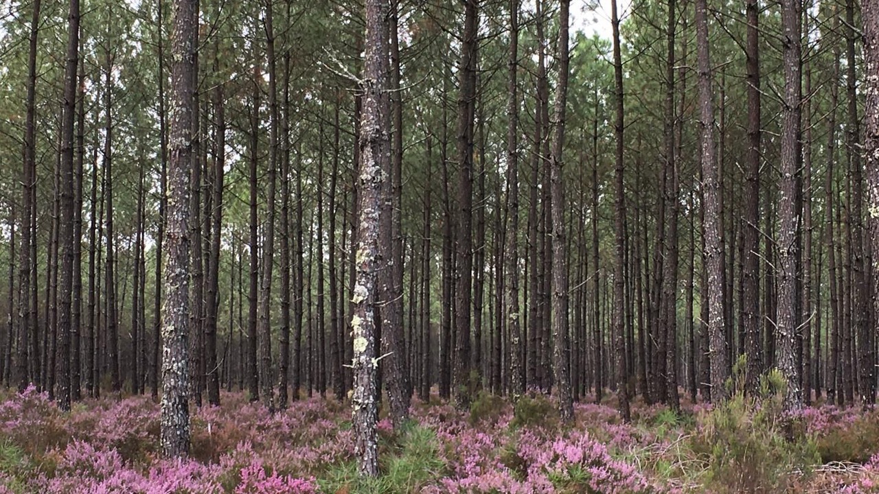 Photo of Outdoor in Uzeste