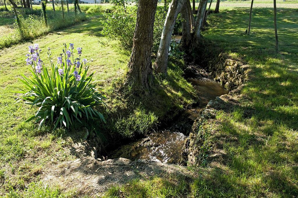 Photo of Outdoor in Uzeste