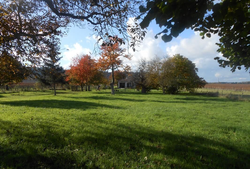 Photo of Others in Pujols