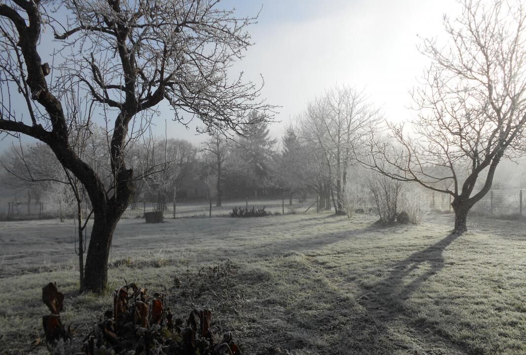 Photo of Others in Pujols