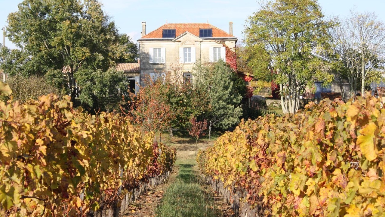 Photo of Outdoor in Saint-Trojan