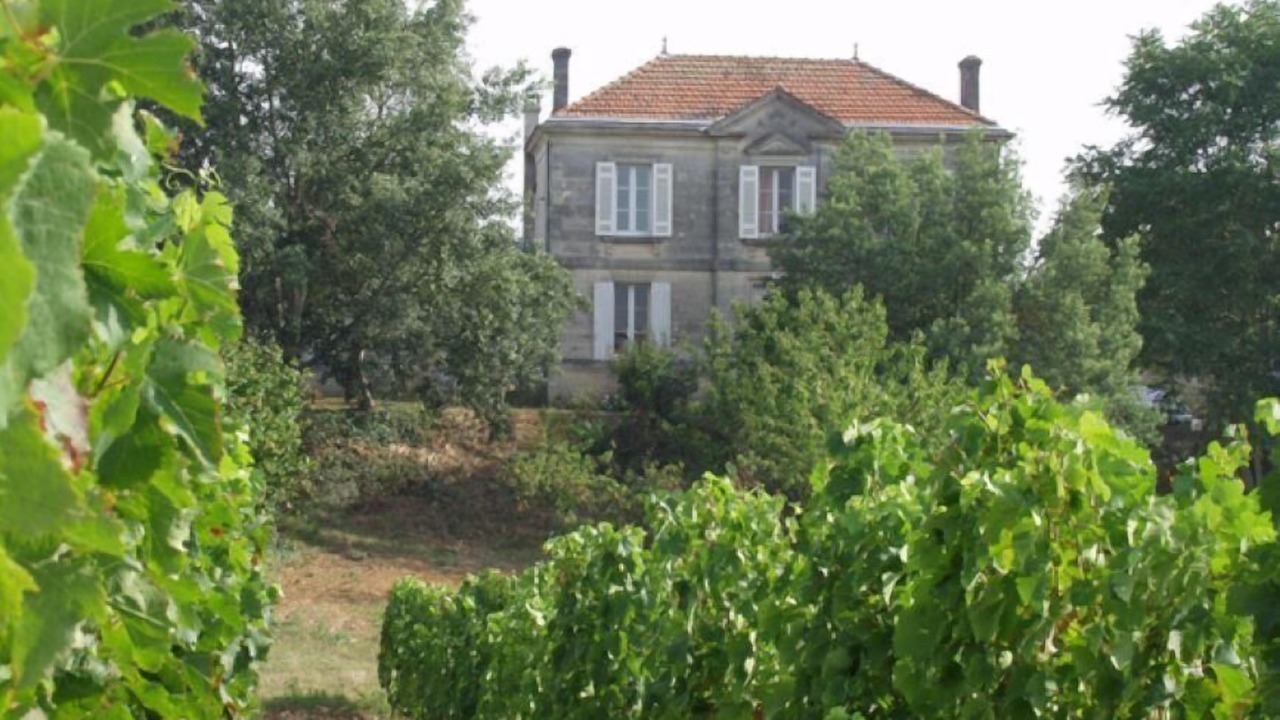 Photo of Outdoor in Saint-Trojan