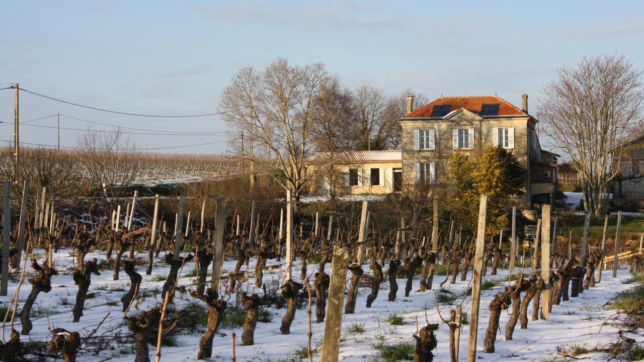 Photo of Outdoor in Saint-Trojan