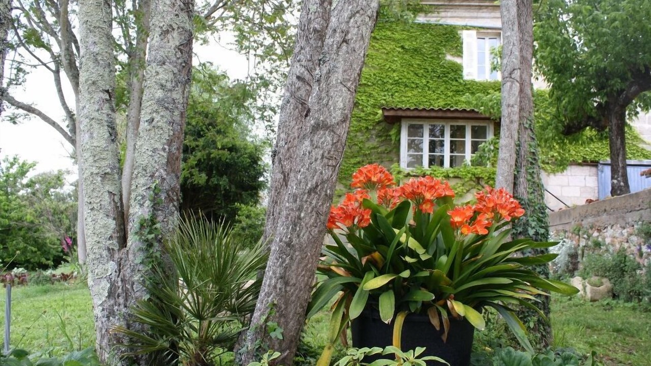 Photo of Outdoor in Saint-Trojan