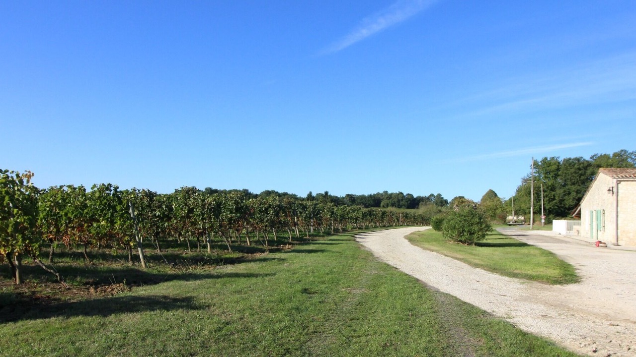 Photo of Outdoor in Villeneuve-de-Duras