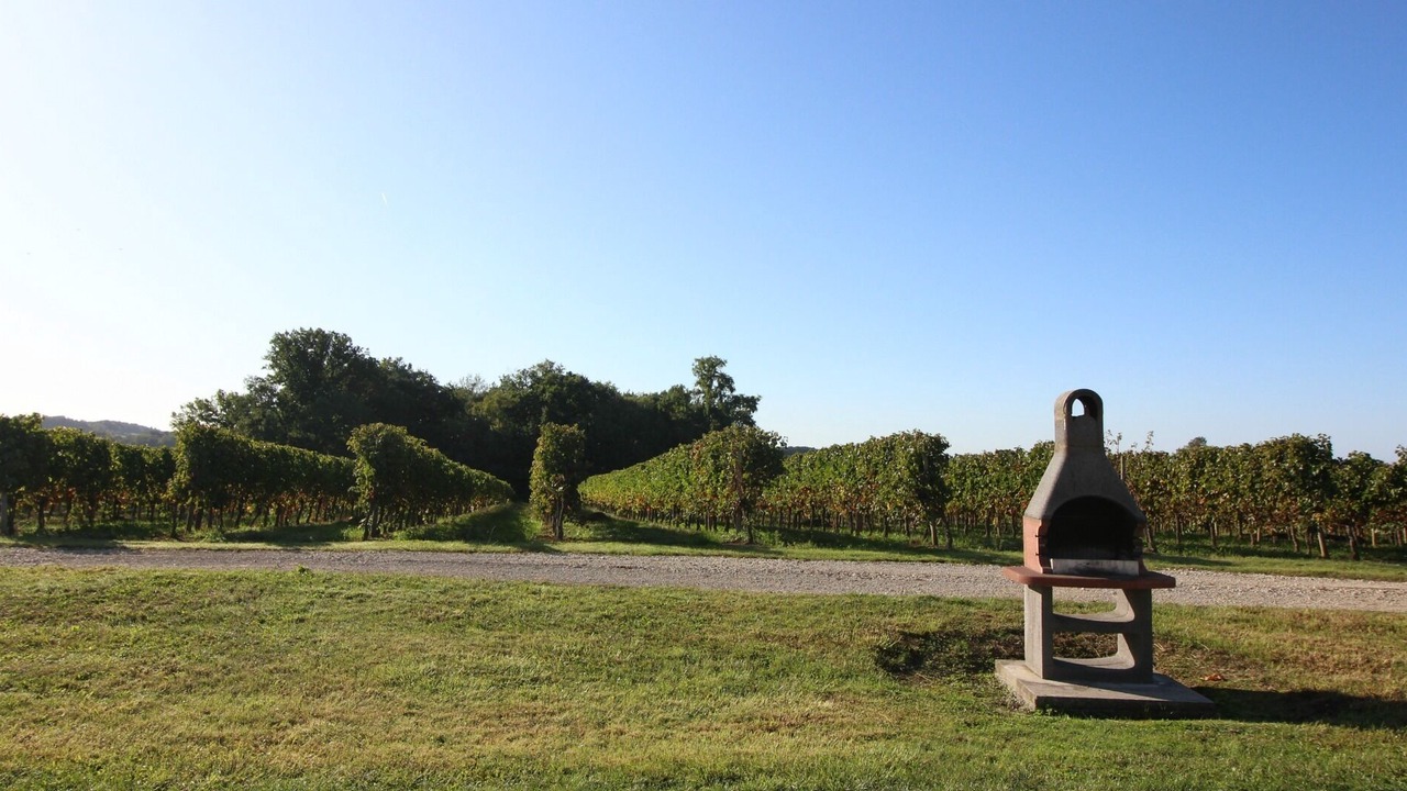 Photo of Others in Villeneuve-de-Duras