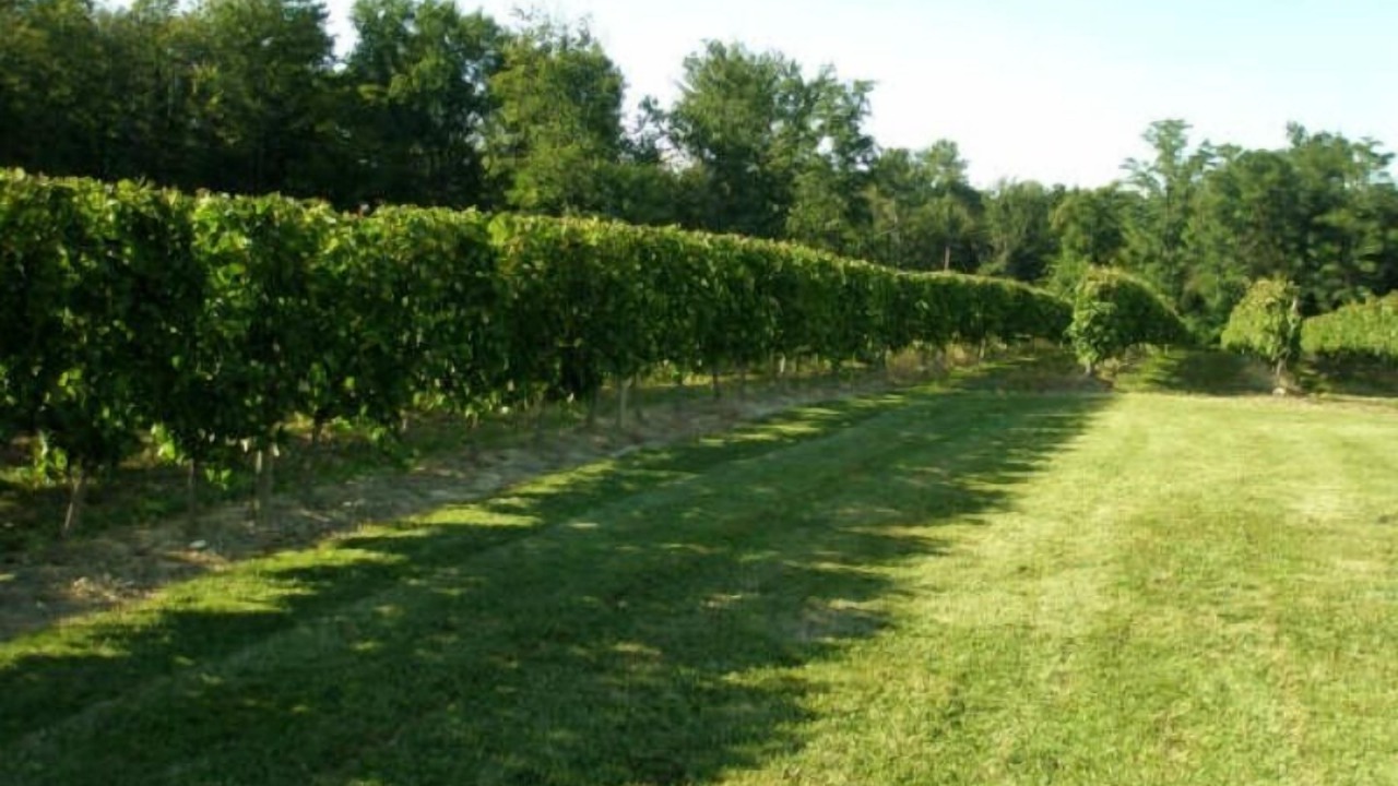 Photo of Others in Villeneuve-de-Duras