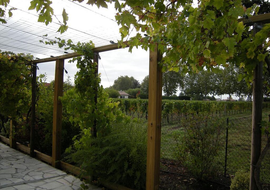 Photo of Outdoor in Castres-Gironde