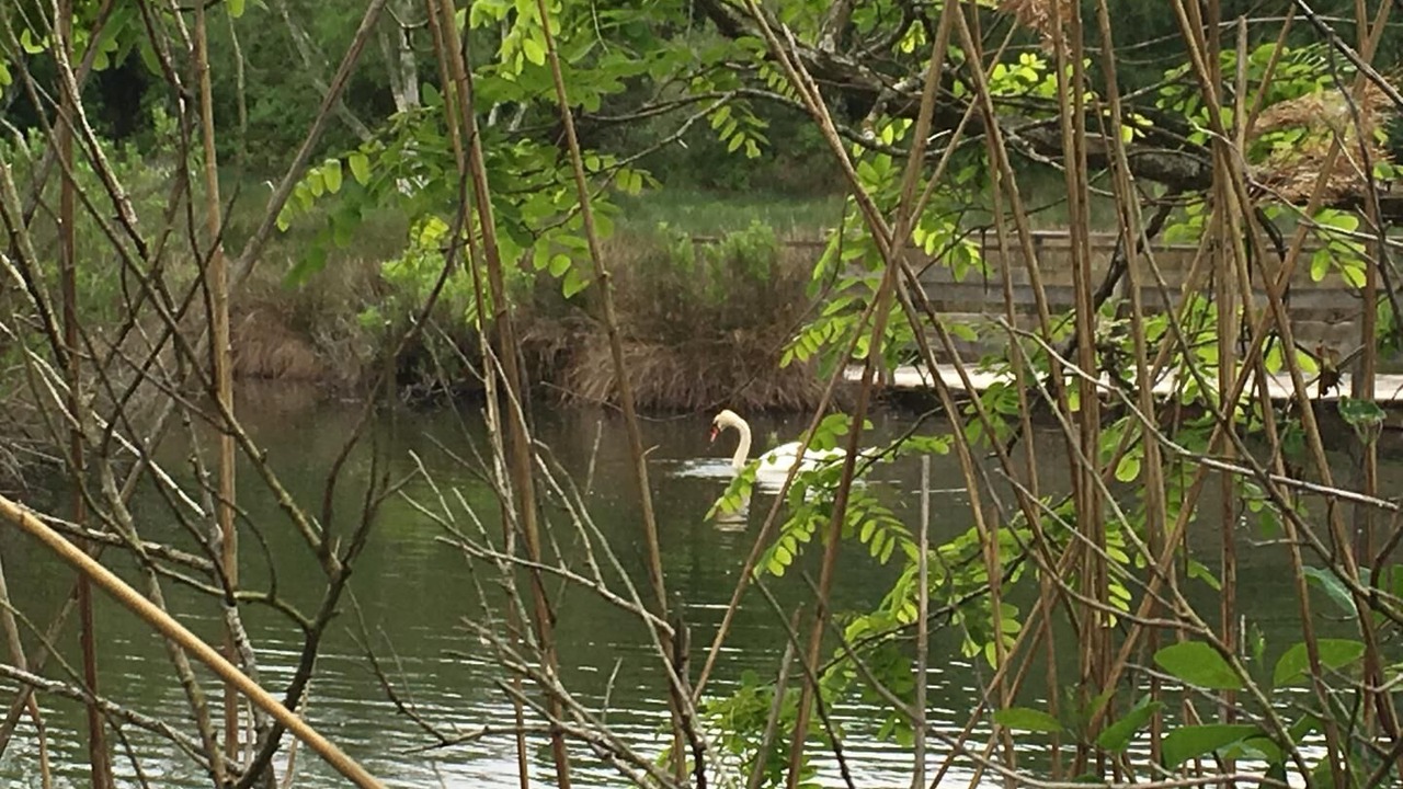 Photo of Outdoor in Le Taillan-Medoc