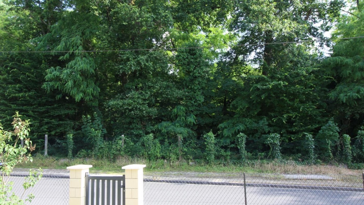 Photo of Outdoor in Le Taillan-Medoc