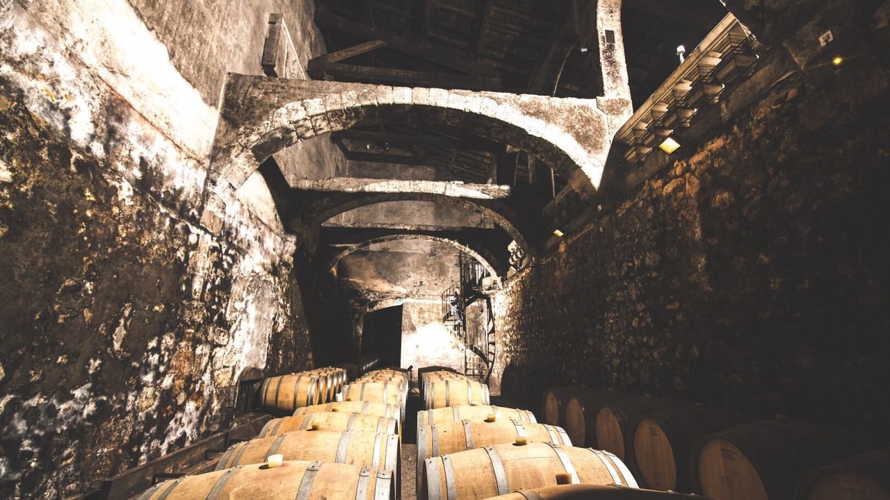 Photo of Outdoor in Le Taillan-Medoc