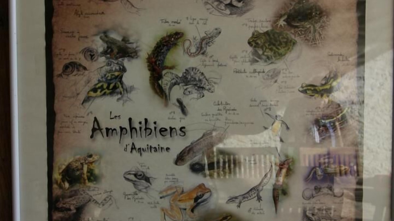 Photo of Others in Marcenais