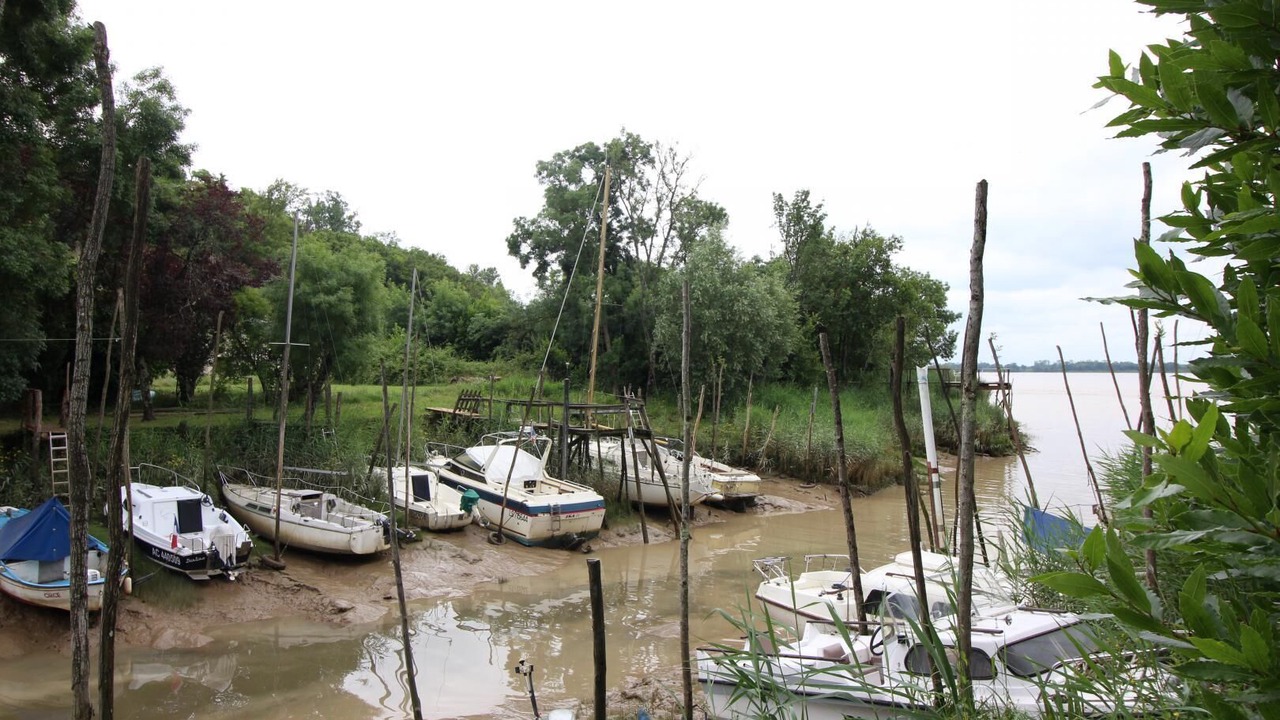 Photo of Others in Teuillac