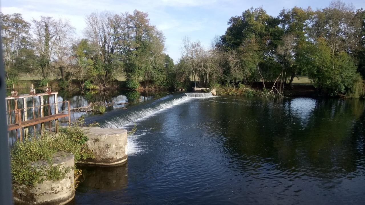 Photo of Others in Teuillac