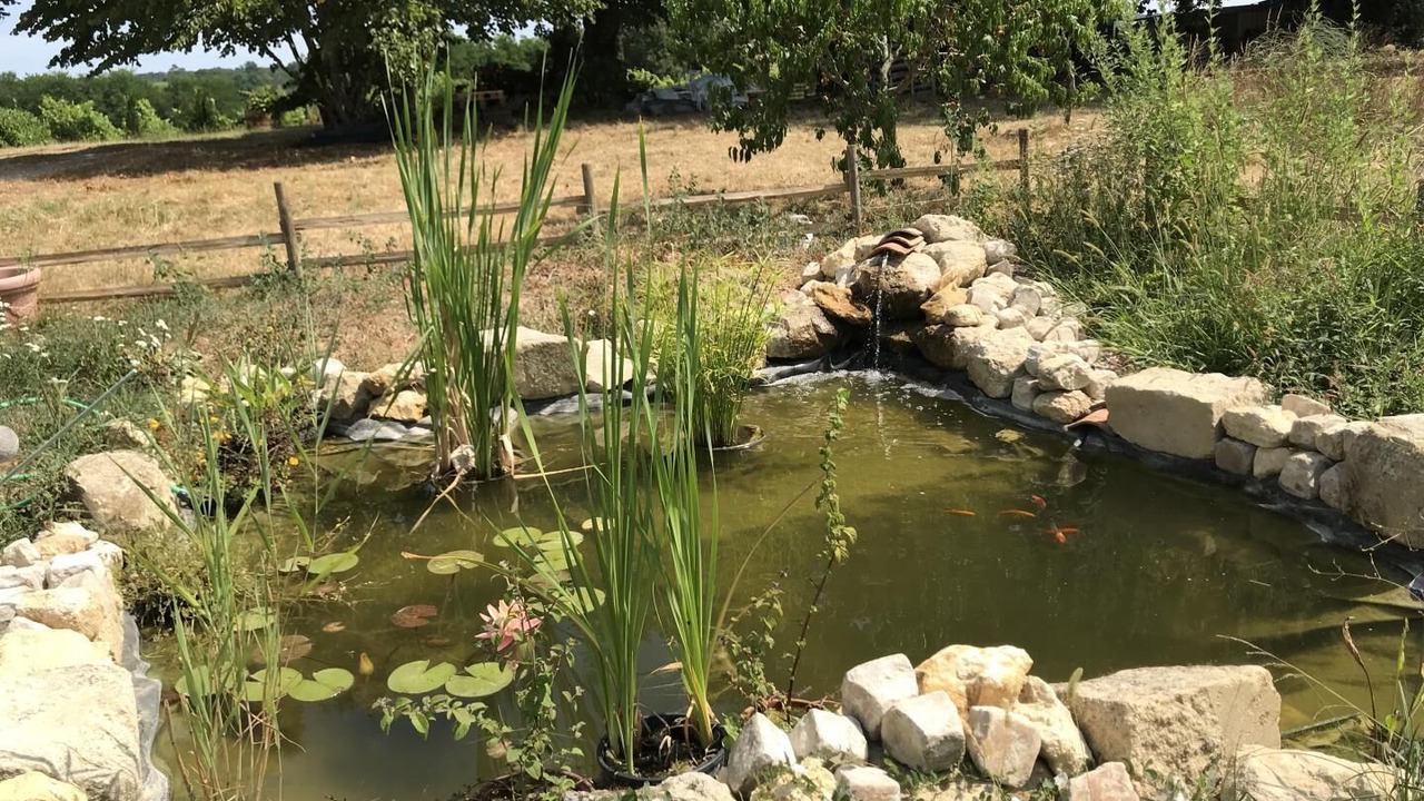 Photo of Outdoor in Saint-Genes-de-Lombaud