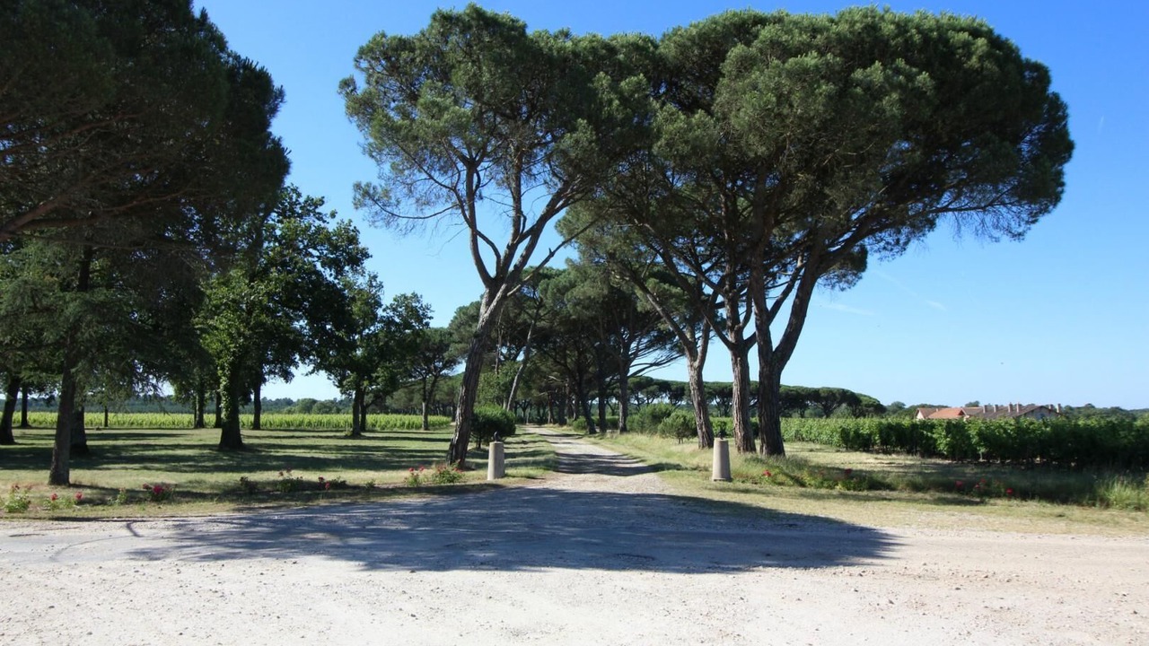 Photo of Outdoor in Cussac-Fort-Medoc