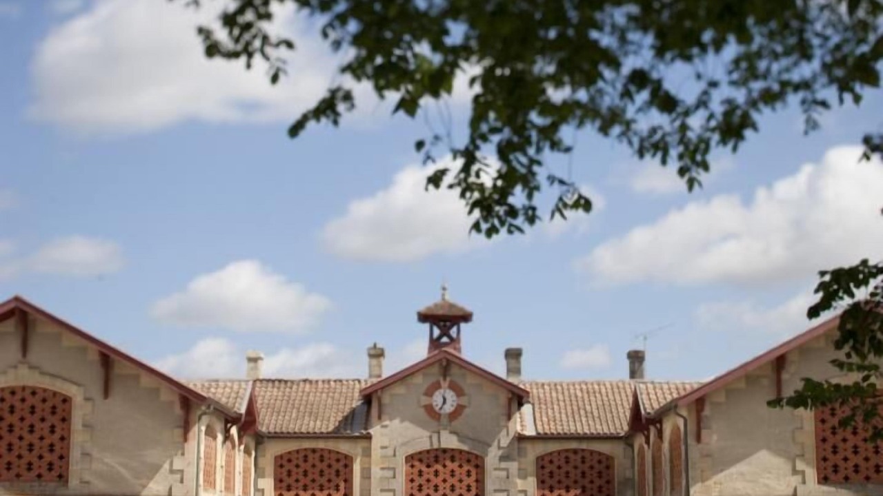 Photo of Outdoor in Cussac-Fort-Medoc