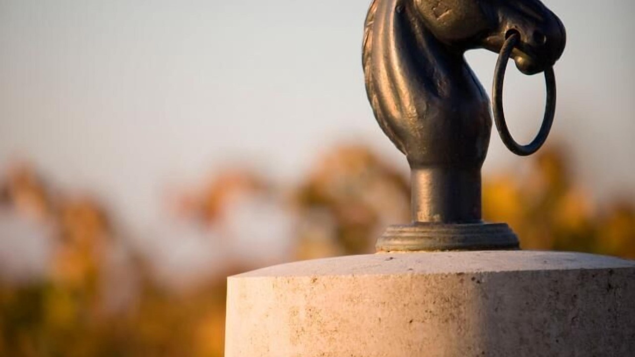 Photo of Others in Cussac-Fort-Medoc