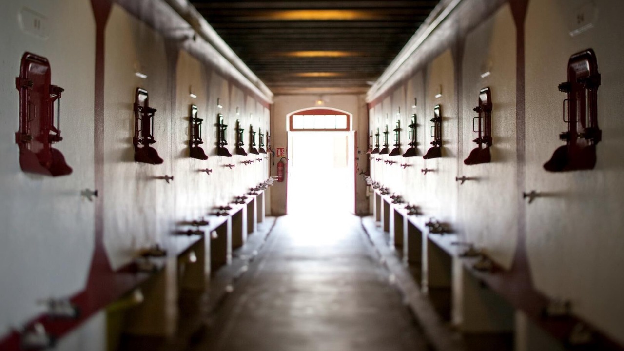 Photo of Others in Cussac-Fort-Medoc