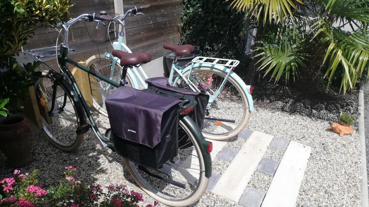 Photo of Outdoor in Le Teich