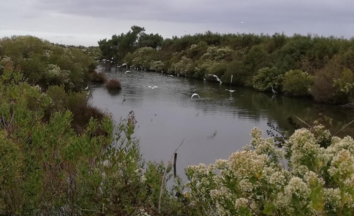 Photo of Outdoor in Le Teich