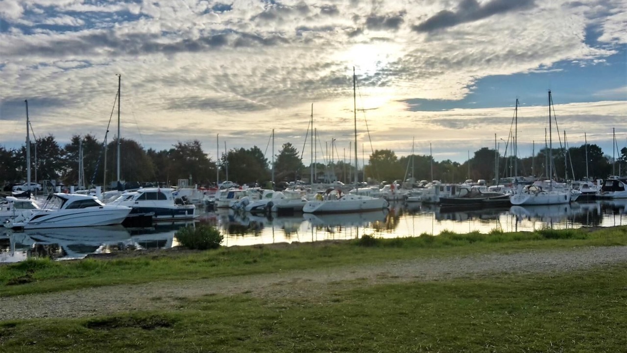 Photo of Others in Le Teich