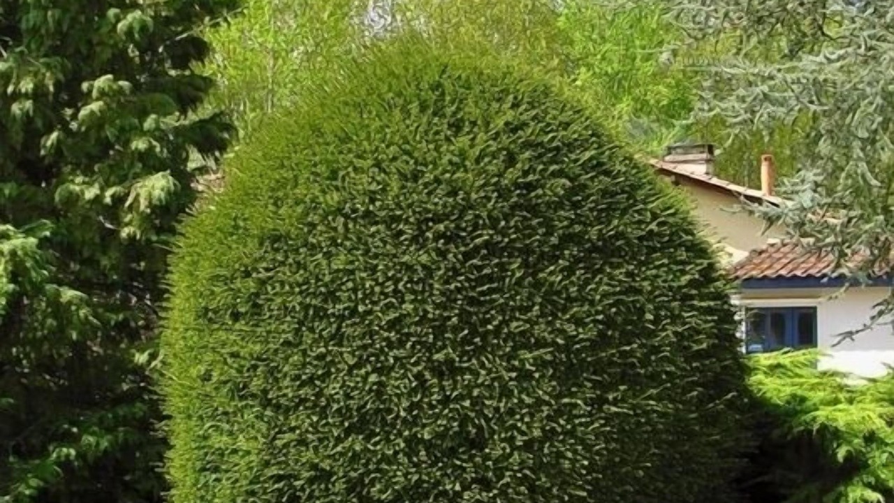 Photo of Outdoor in Pujols-sur-Ciron