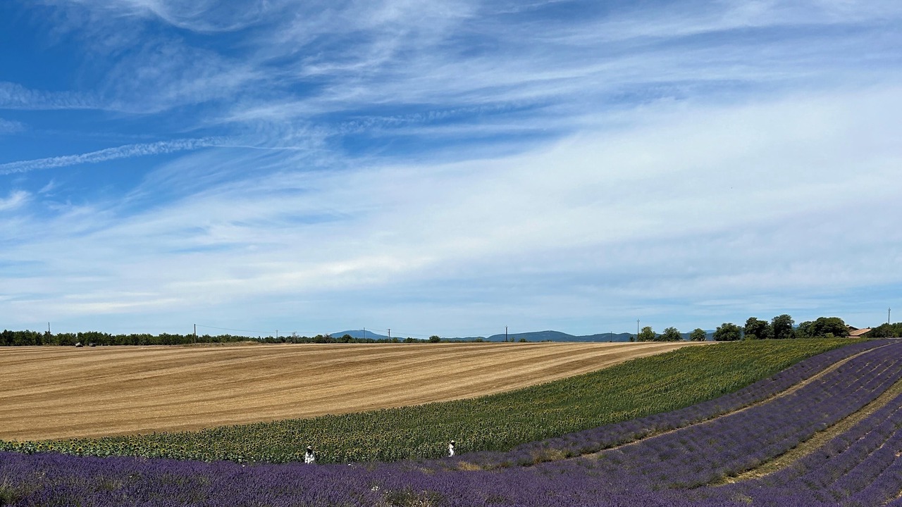 Photo of Others in Riez