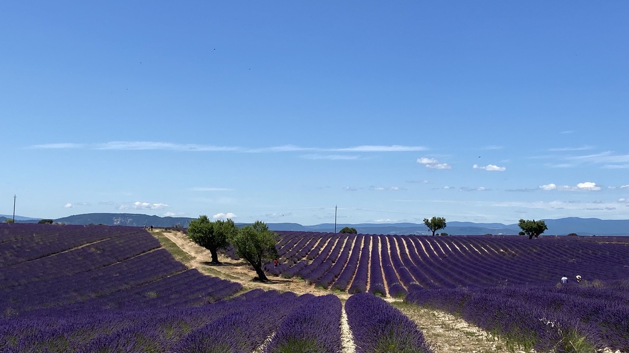 Photo of Outdoor in Riez