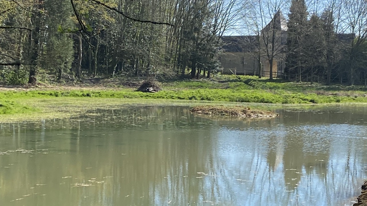 Photo of Outdoor in Juaye-Mondaye