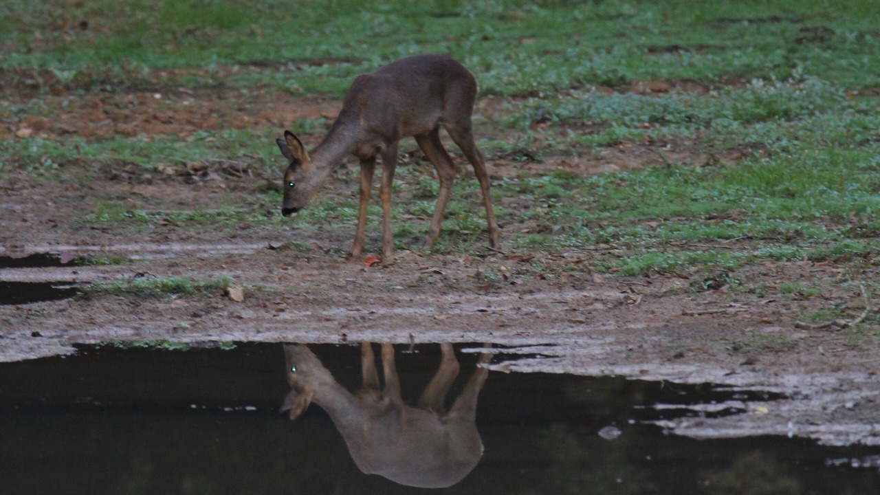 Photo of Others in Juaye-Mondaye