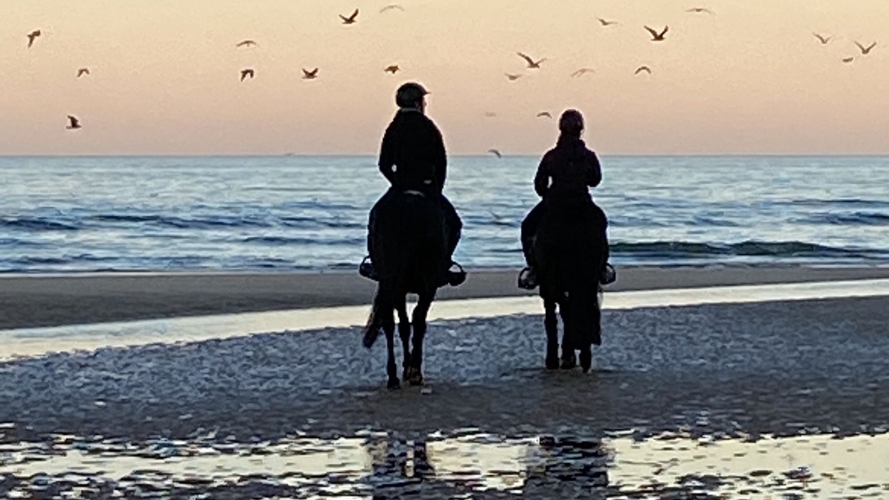 Photo of Others in Juaye-Mondaye