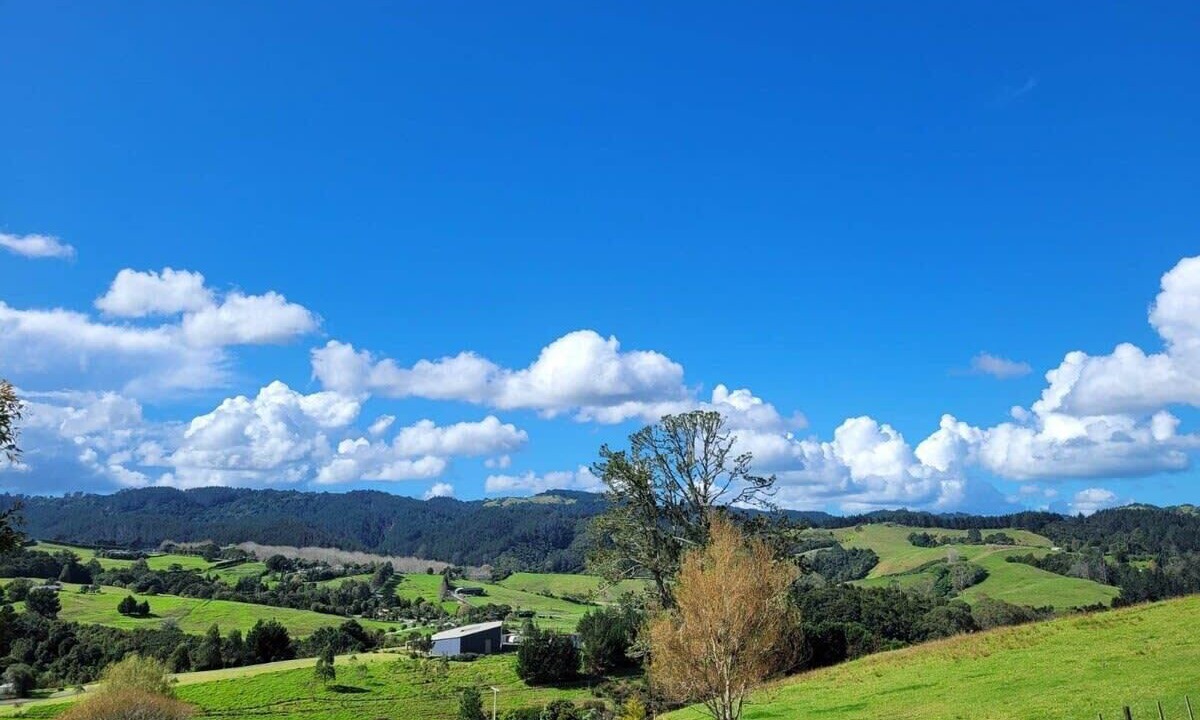 Photo of Others in Whangarei