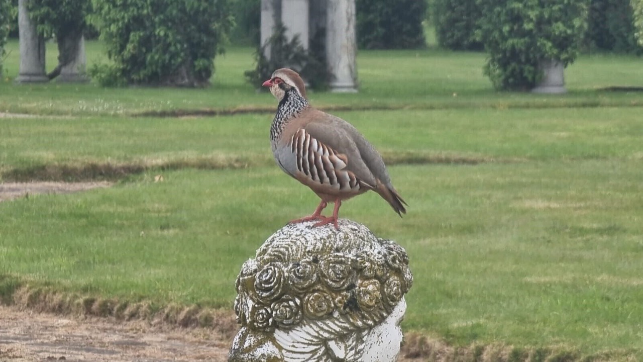 Photo of Others in Thornton Hough