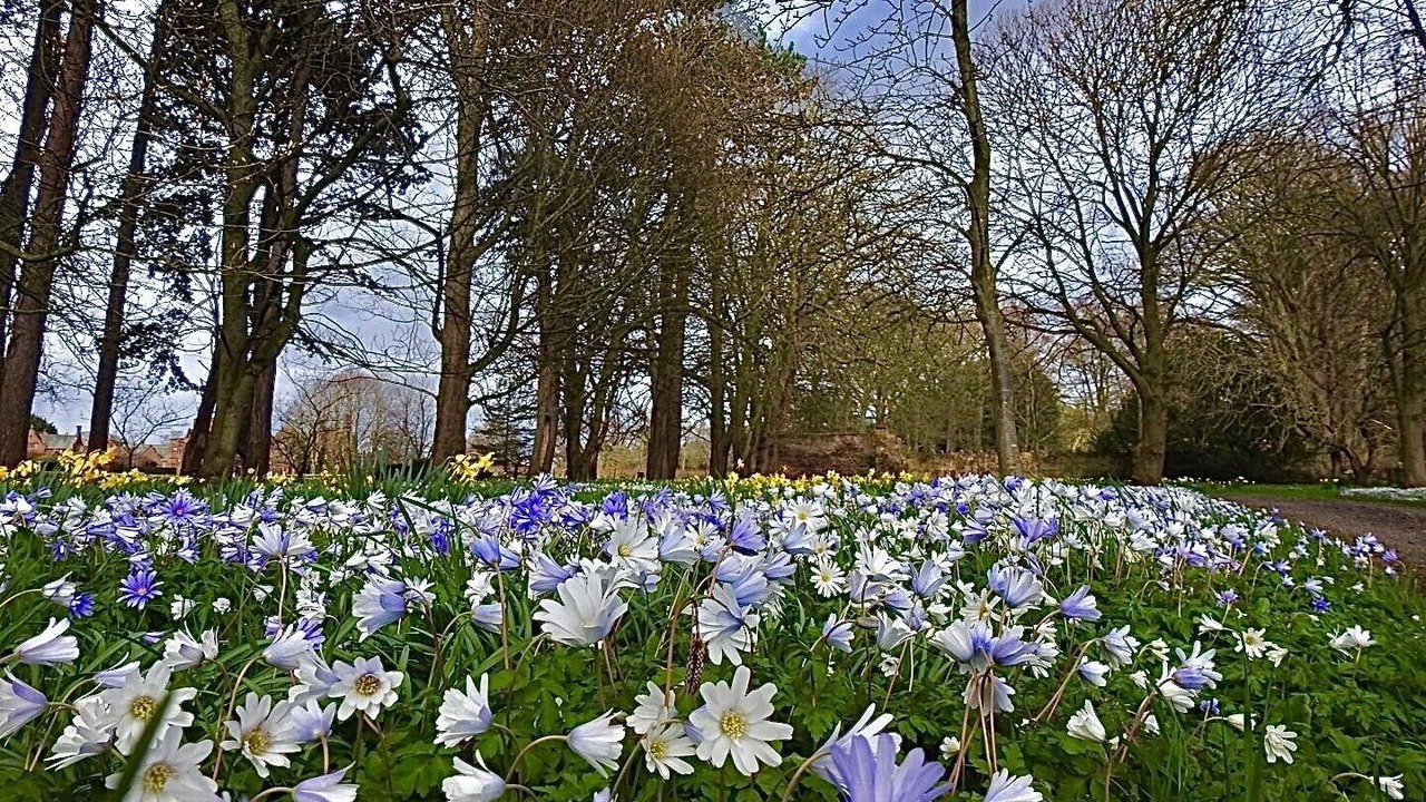 Photo of Others in Thornton Hough