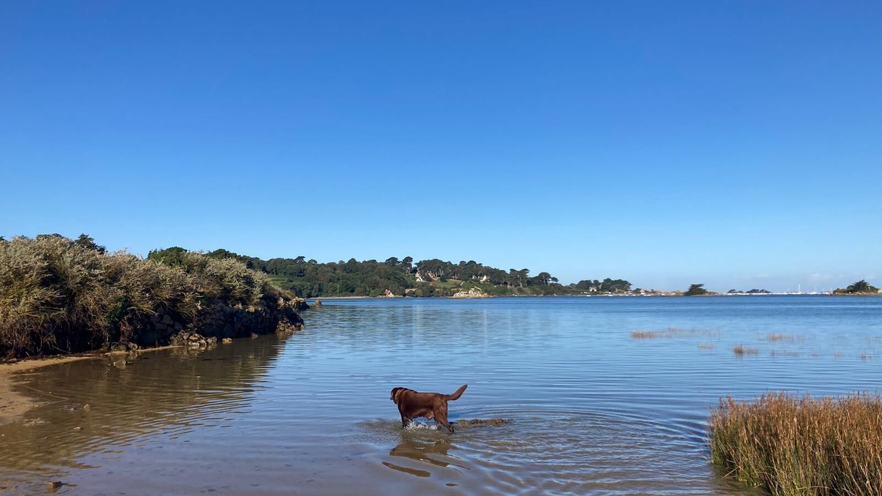 Photo of Others in Penvenan