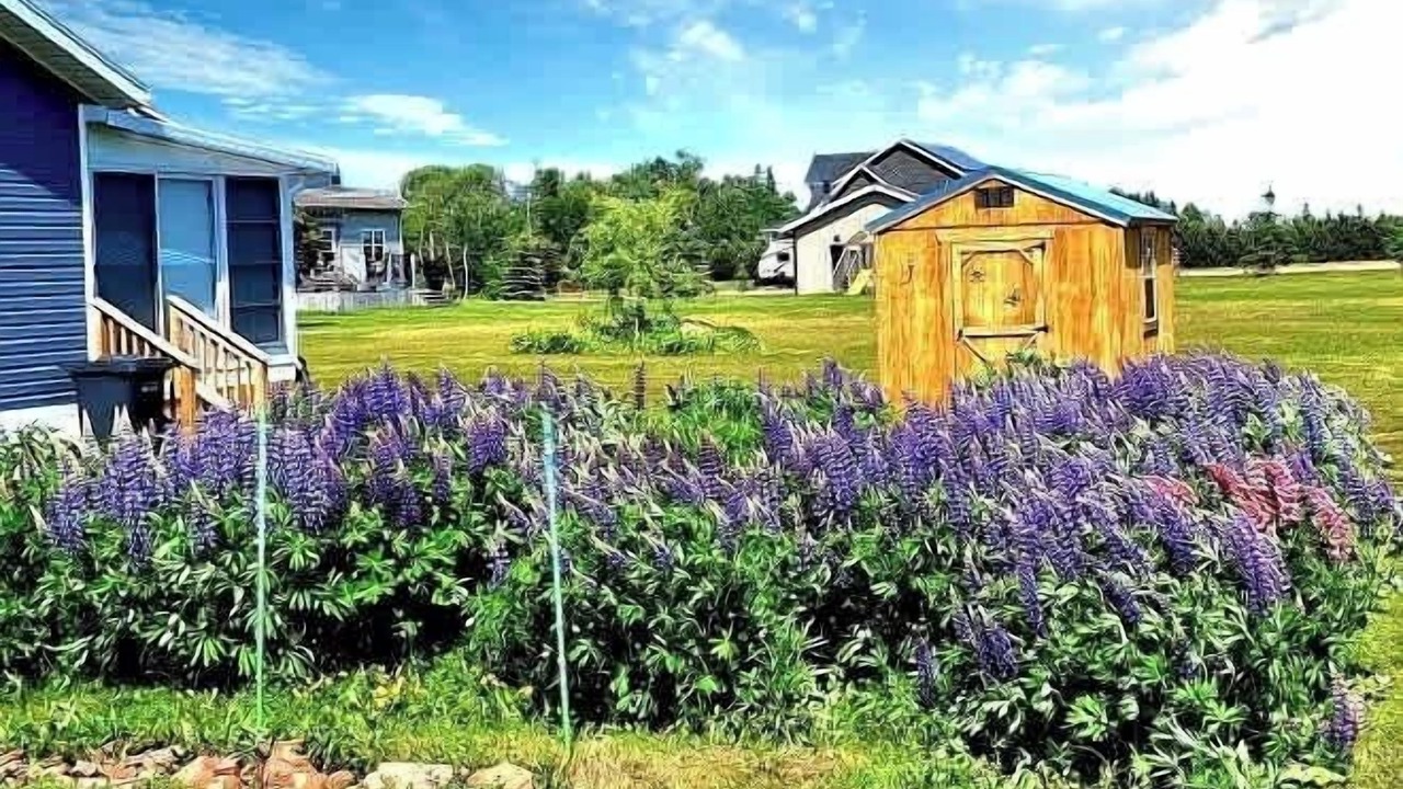 Photo of Outdoor in Borden-Carleton