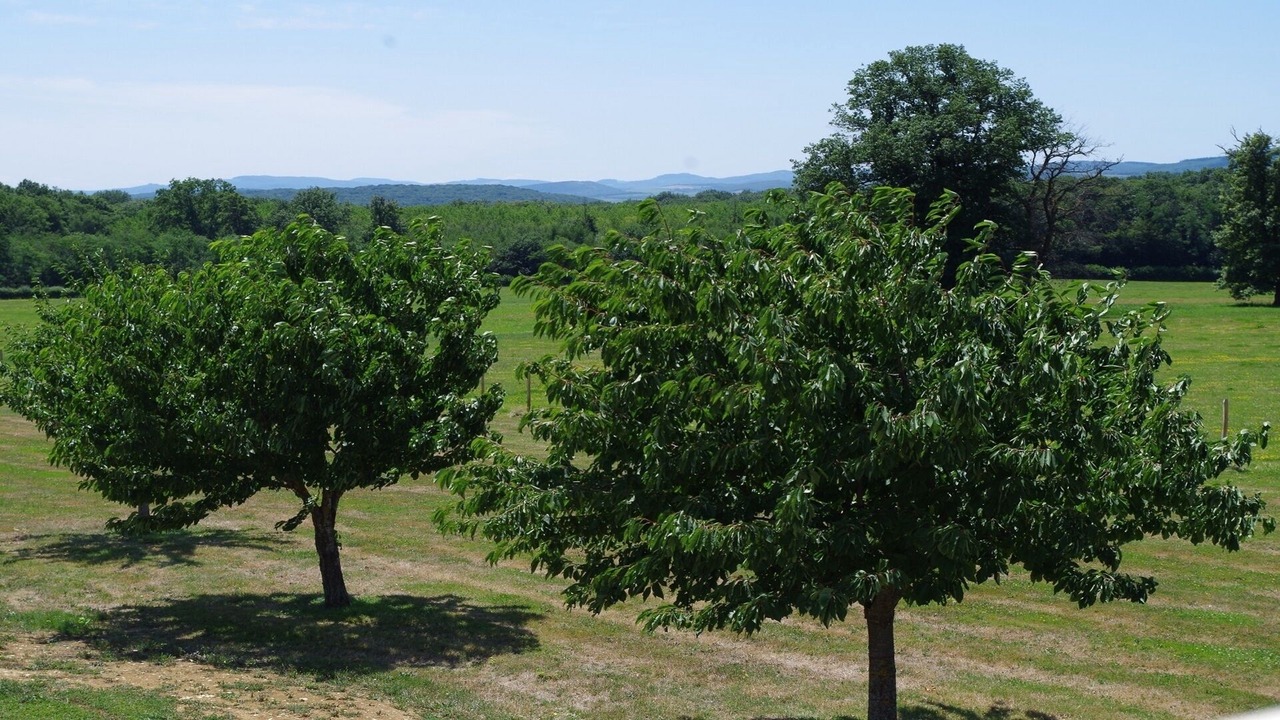 Photo of Outdoor in Lugny
