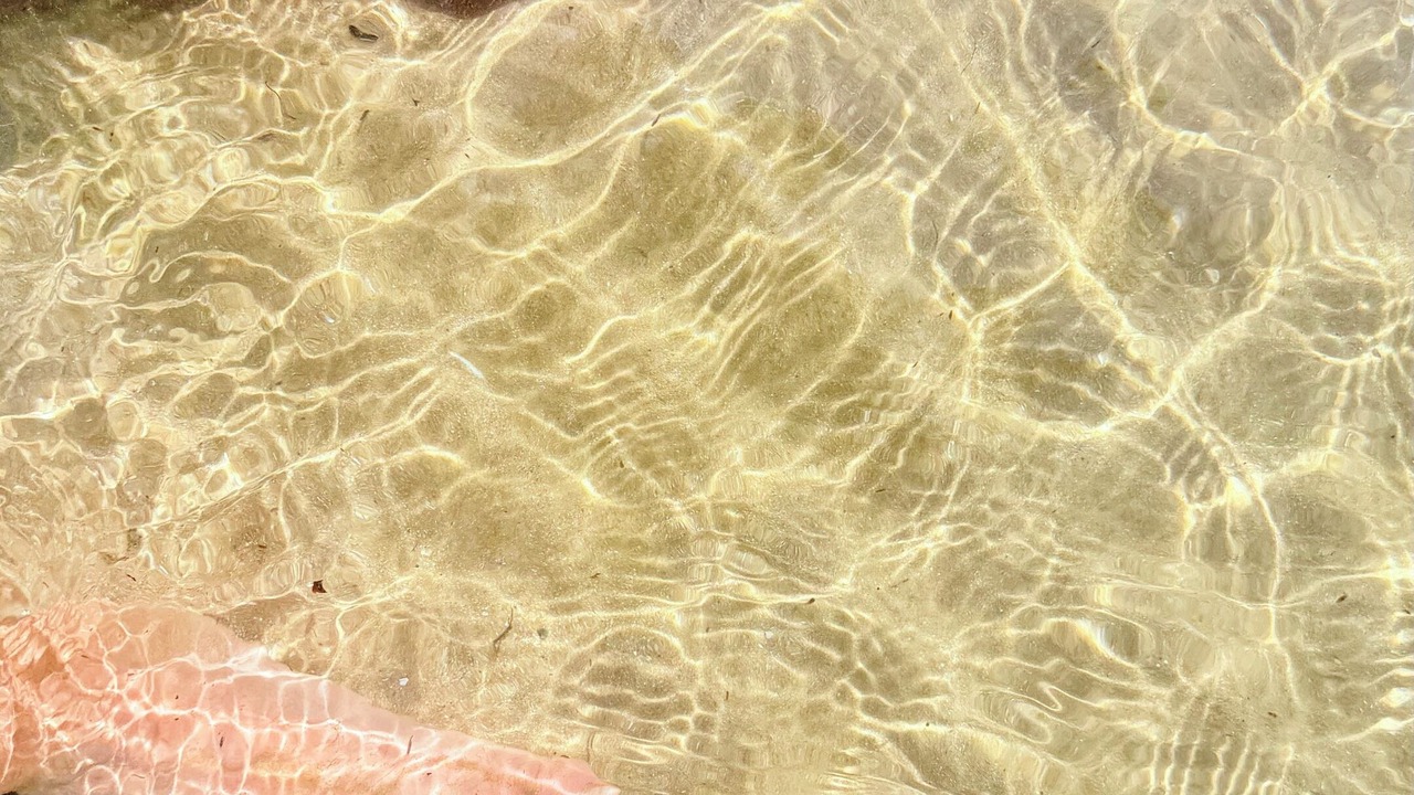 Photo of Others in Port Franks