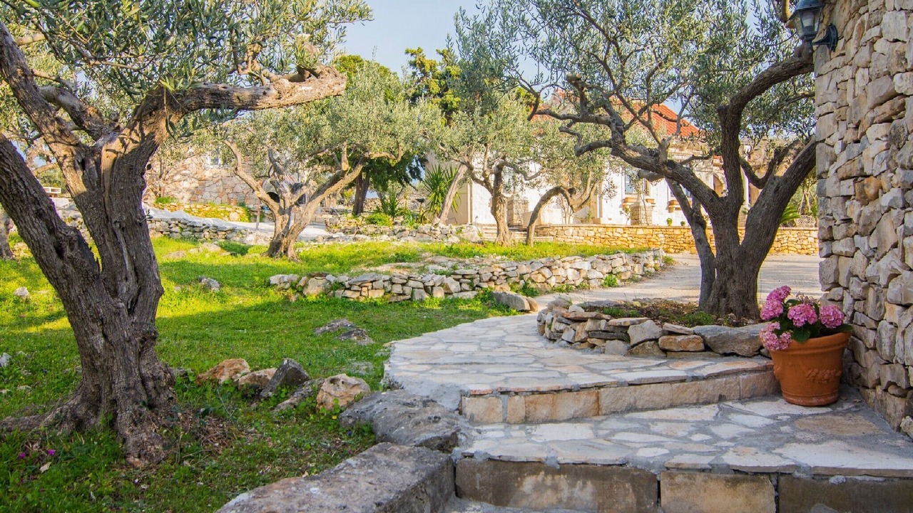 Photo of Outdoor in Splitska