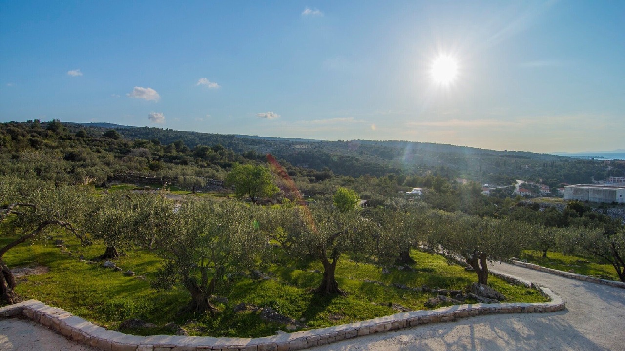 Photo of Outdoor in Splitska