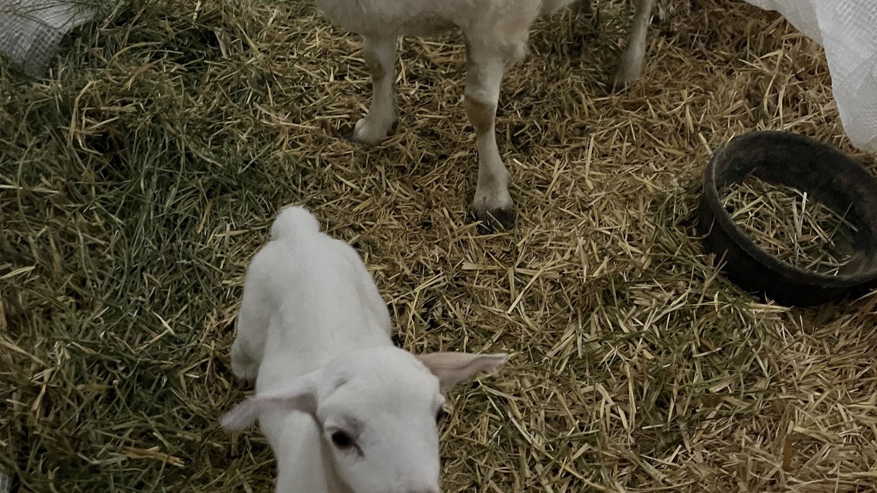 Photo of Outdoor in Driggs