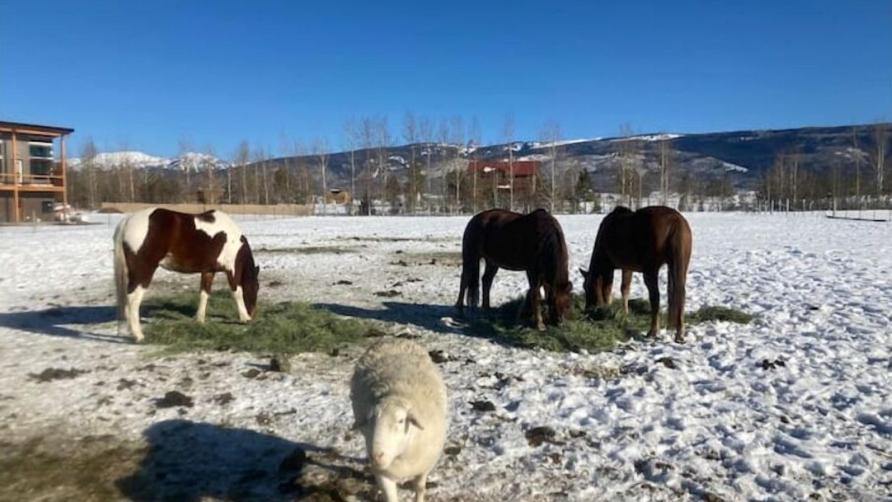 Photo of Outdoor in Driggs