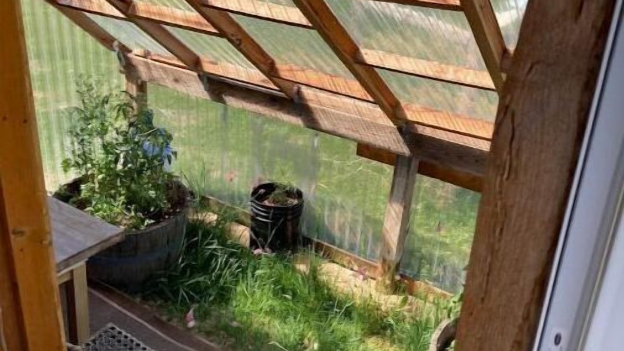 Photo of Others in Driggs