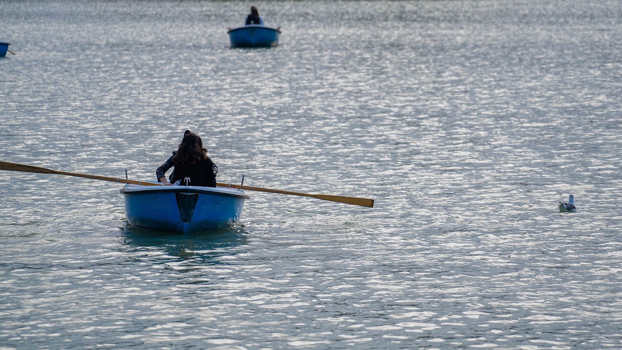 Photo of Others in Weston
